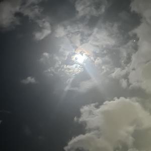 RnR Soldier / No Adlibs ( freestyle) (Explicit)