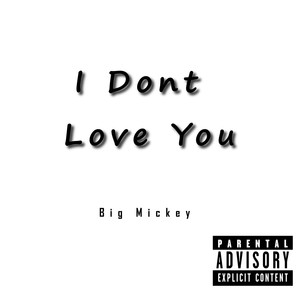 I Dont Love You (Explicit)