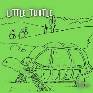 Little Turtle