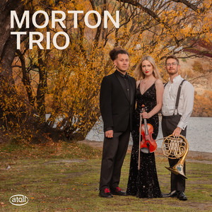 Brahms Horn Trio Op.40 in E Flat Major - Brahms Horn Trio Op.40 M3 Adagio