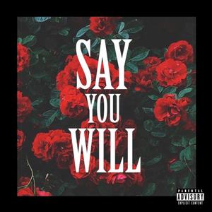 Say You Will (Explicit)