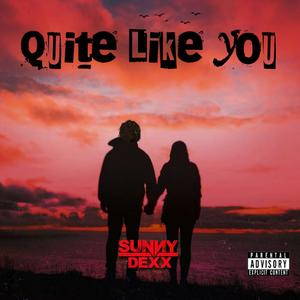 Quite Like You (Explicit)