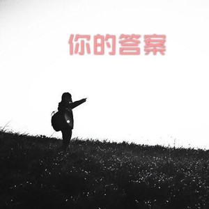 你笑起来真好看 (DJ版)