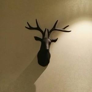 探清水河 cover: 郭德纲