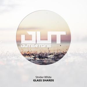 Glass Shards