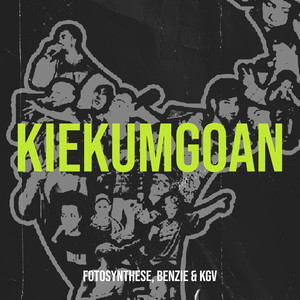 Fotosynthese - Kiekumgoan