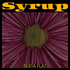 Syrup (feat. Martin Lang)