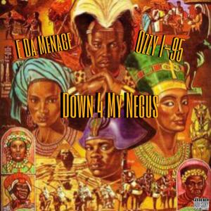 Down 4 My Negus (Explicit)