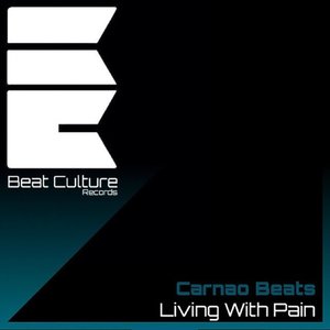 Living With Pain