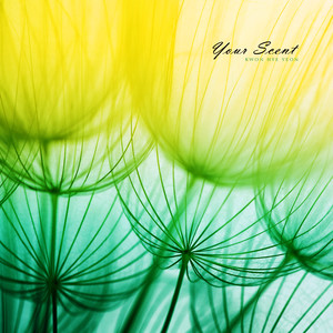 눈앞의 슬픔 (Sadness in front of you)