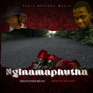 Nginamaphutha (feat. Nkosi The Vocalist)