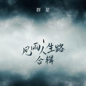 风雨人生路 (兄弟版)