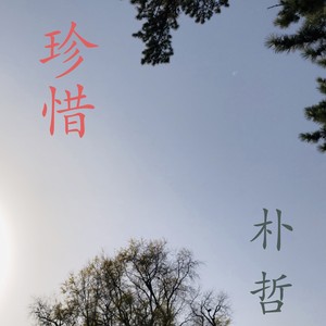思念 (伴奏)