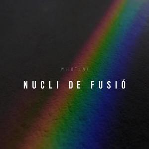 NUCLI DE FUSIÓ