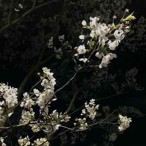 我趟过一条名叫你的河