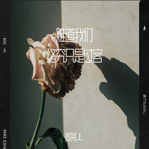 难道我们终究只是过客