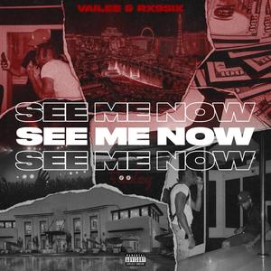 See Me Now (feat. Vailee & Rx9six) [Explicit]