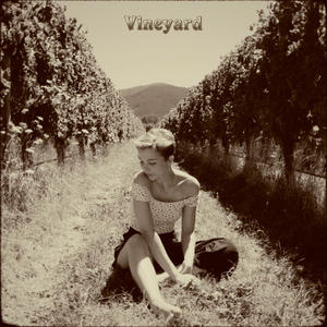 Vineyard