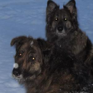 like i do (feat. Pursuit of Reverie) (Explicit)