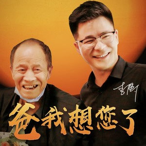 爸，我想您了