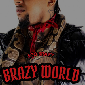 Brazy World (Explicit)