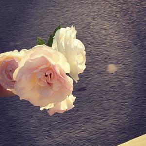 Hardwell-Freeze Time (YZJ Bootleg) (YZJ remix)