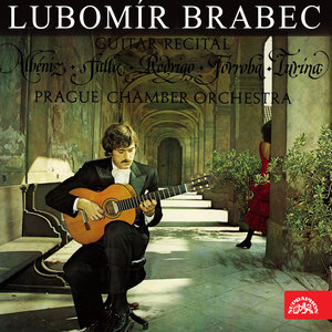 Concierto de Aranjuez: II. Adagio (罗德里戈：阿兰胡埃斯协奏曲：第二乐章，慢板)