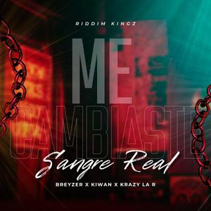 Me Cambiaste (feat. Krazy La R & Kiwan)