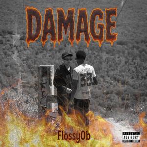 DAMAGE (Explicit)
