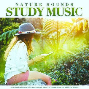 Soothing Music Study Aid