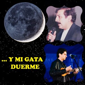 ...Y mi gata duerme