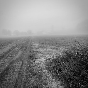 Living Among The Dead