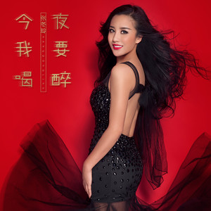 张冬玲 - 今夜我要喝醉 (DJ阿远版)