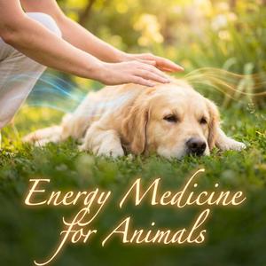 Heart of the Companion