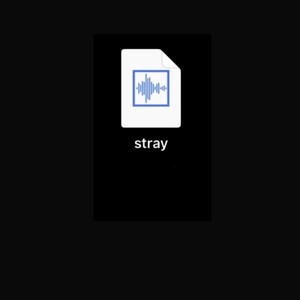 Stray (Explicit)