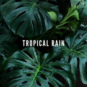 Tropical Rain