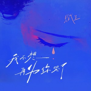 我不想再为你哭了 (伴奏)