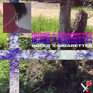 roses & cigarettes (Explicit)