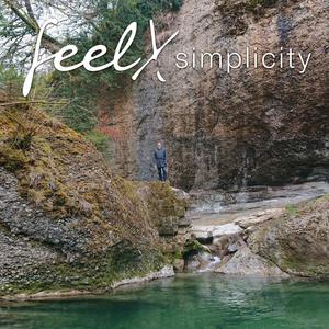 Simplicity (feat. Samuel Hällkvist, Luca Calabrese, Dédé Felix & Jörg Hofmann)