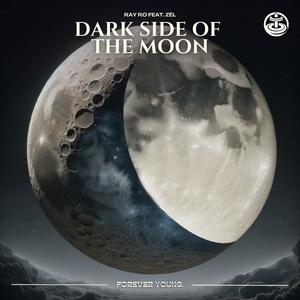 Ray Ro - Dark Side Of The Moon
