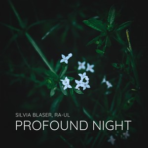 Profound Night (Echoes of the Mist)