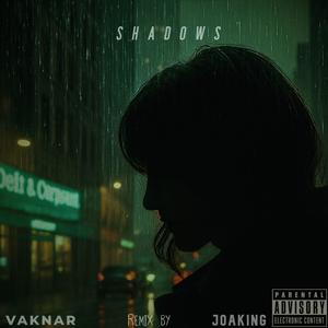 Shadows (JoaKing Remix)