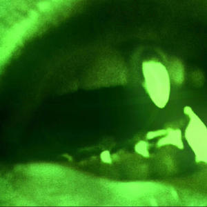 GO+G0 Pt. 2 (feat. jay galvxn) (Explicit)