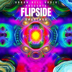 Flipside