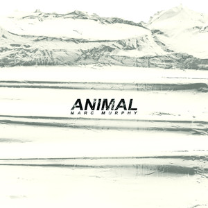 Animal (Explicit)