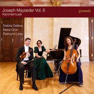 Violin Sonata No. 2 in E Minor, Op. 42 - Violin Sonata No. 2 in E Minor, Op. 42: III. Finale. Allegro