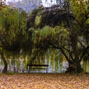 Park (feat. K. Väisänen)