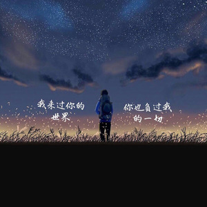 来过 负过 (伴奏)
