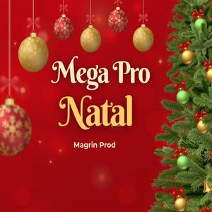 Mega Pro Natal