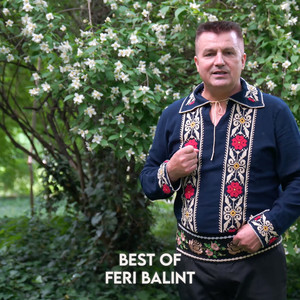 Best of Feri Balint